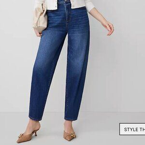 Barrel Denim Medium Wash Size 14 Women's Ann Taylor Pants